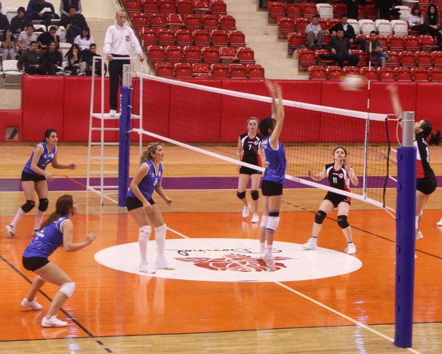 Voleybol Direkleri